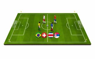 米兰体育网页版-世界青少年冰壶锦标赛中国队奋勇争先，中国青少年冰壶公开赛冠军